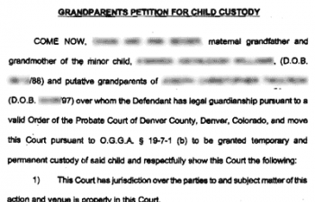 Court Ordered Child Abduction - A True Story