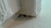 2017 07-20 Hole Under Windowsill in Bathroom 1 (2).jpg