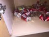 2017 09-23 1 Cockroach Carcass Found By Dirty Soda Cans In Community Kitchen (1).JPG