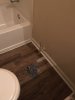 DE8FDDF6-F98B-45F1-A768-B67A3CBC33AB.jpeg