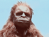 gorillamouthbreather.gif