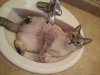 FB_IMG_1585249406201.jpg