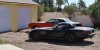 2020-04-02 Mustang and Viper - Small.jpg