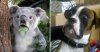 23-hilarious-photos-of-surprised-animals.jpg