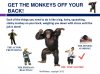 get-the-monkeys-off-your-back-l.jpg