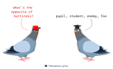 buttinski.png