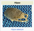 1718638857947.png