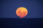 israelistrawberrymoon.jpg israelistrawberrymoon.jpg
