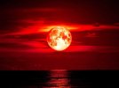 strawberry_moon-885351393.jpg strawberry_moon-885351393.jpg