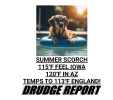 snapshot_www.drudgereport.com_1785027609791.png