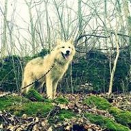 westtexaswolfpack