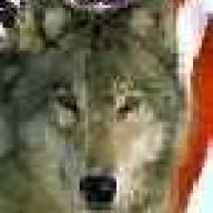 Lowell Wolf