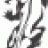 ravenschafer