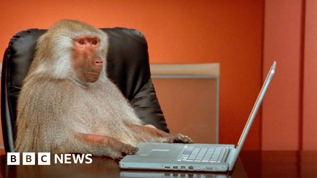 www.bbc.com